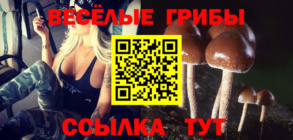 Клин  Псилоцибиновые грибы MAGIC MUSHROOMS  Вход с VPN 